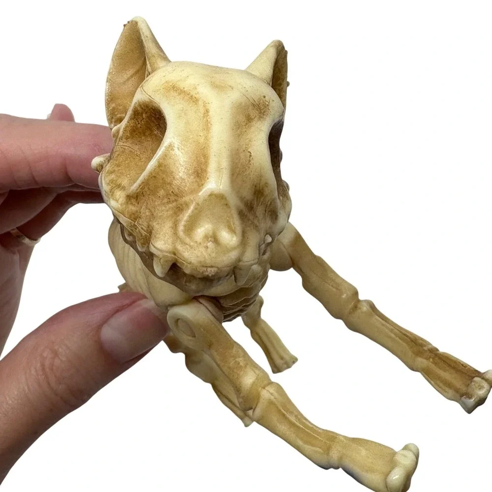 Articulated Cat Skeleton Halloween Figurine Posable Plastic Bone Decor 7 Inch